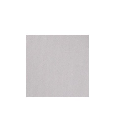 SERVILLETA BLANCA 50/50 50X50 CM  (20"X20") CAPÉ